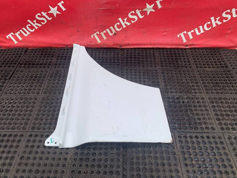 Продолжение (дефект) двери левой 2023г.