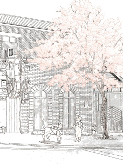 Two cats and a walk, Four Seasons Coloring book