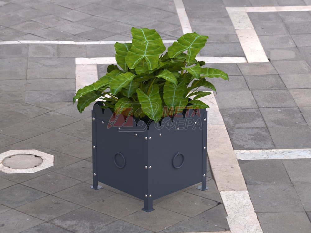 Цветочница Жасмин