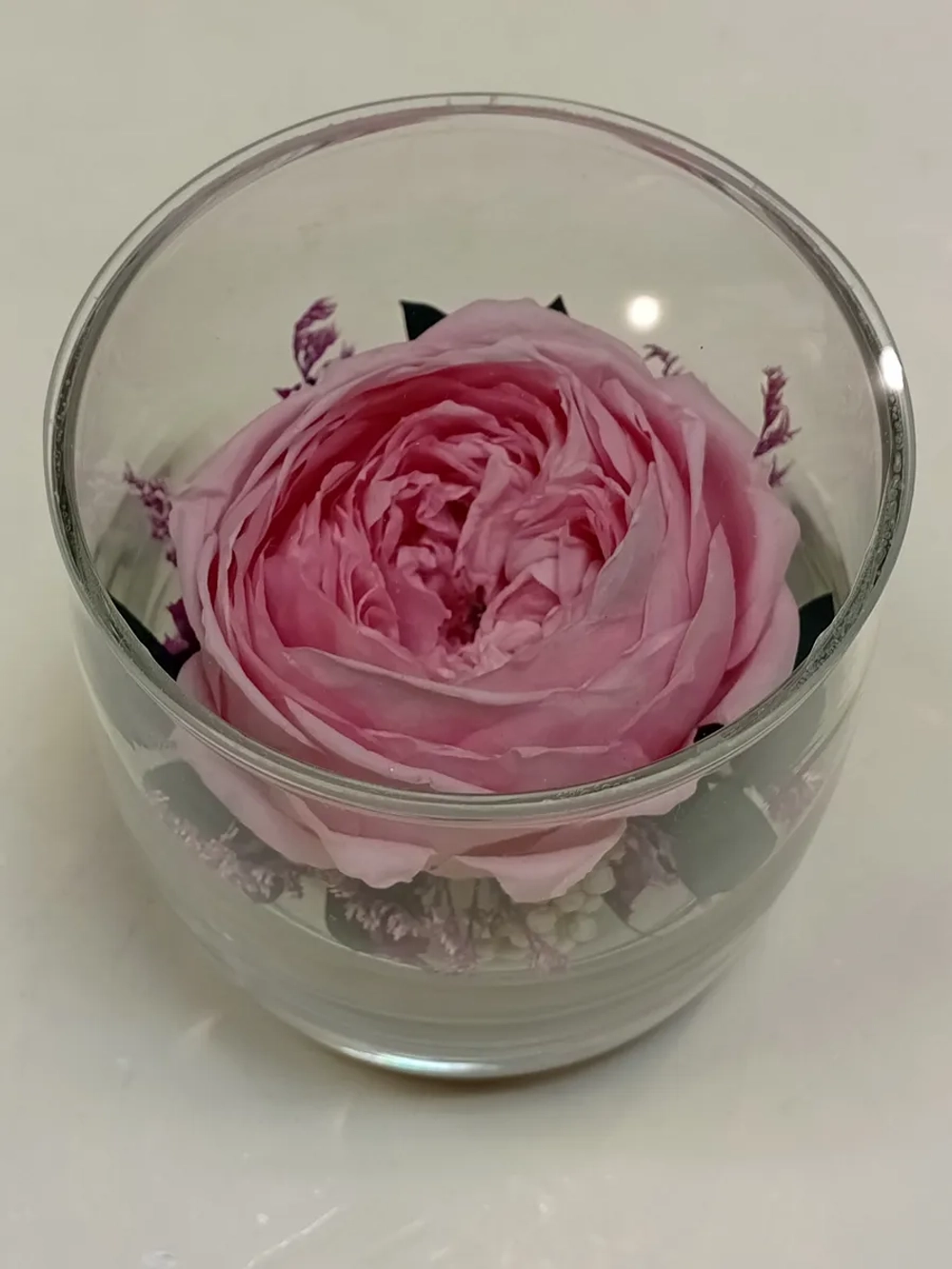 натуральный пион в стекле, вакуум*