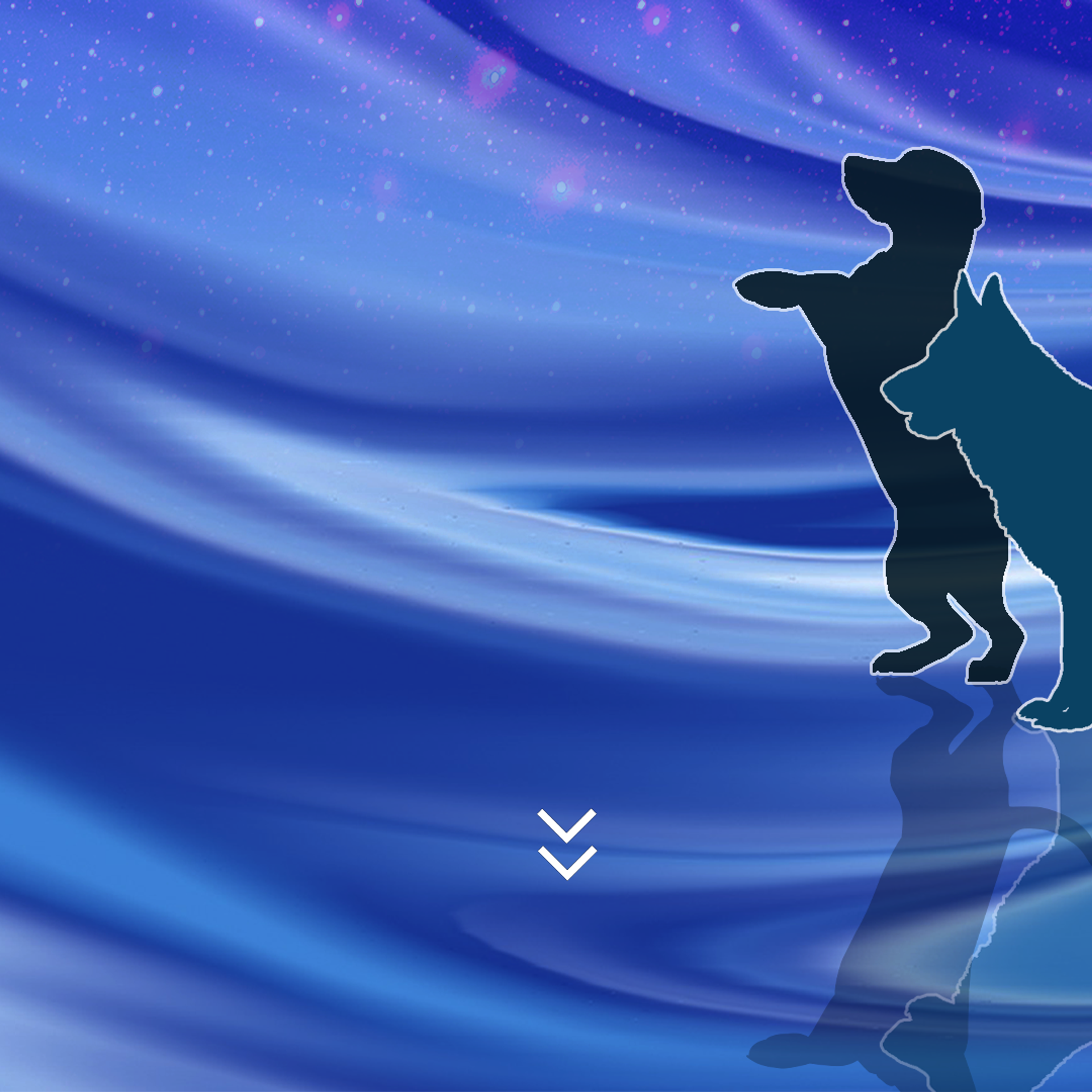 Центр дрессировки собак Легион Star Dogs 