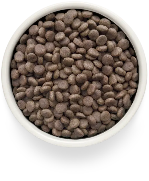 Сухой корм GRANDORF VETERINARY DIET Dog RENAL Полнорационный диетический корм для собак, для поддержания функций почек при ХБН, индейка 1кг