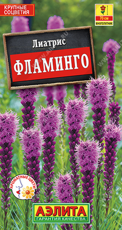Лиатрис Фламинго