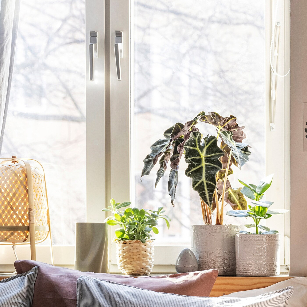 Горшок для растений IKEA CHIAFRON (ЧИАФРЁН), Белый, 12 см