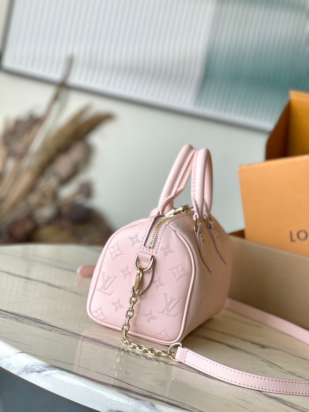 Louis Vuitton Speedy 20