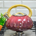 Чайник 3л со свистком, индукция, двухцветный, красно-черный