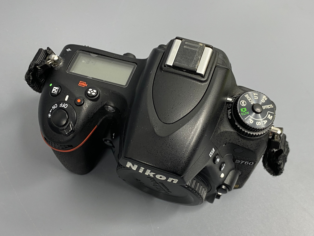 Nikon D750 10.000 кадров