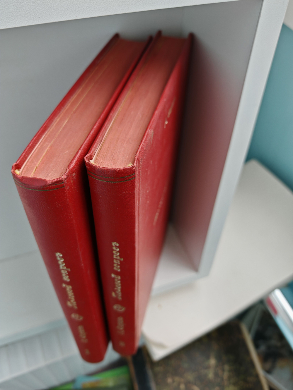 Половой вопрос. Естественно-научное, психологическое, гигиеническое и социологическое исследование