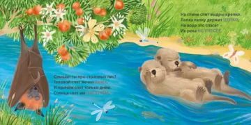 Книжки - картонки. Загадки - рифмы. Кто как спит