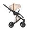 Коляска ANEX e/type 2 в 1 (et-SE04) joy