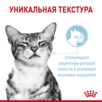 Влажный корм для кошек стимулирующий рецепторы ротовой полости Royal Canin Sensory Ощущения, 12 шт x