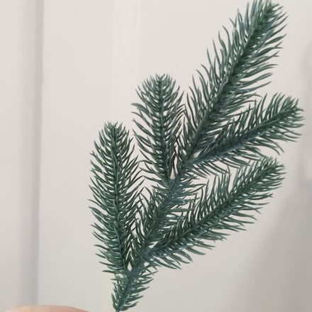 Ветка еловая голубая 25 см 5 веточек