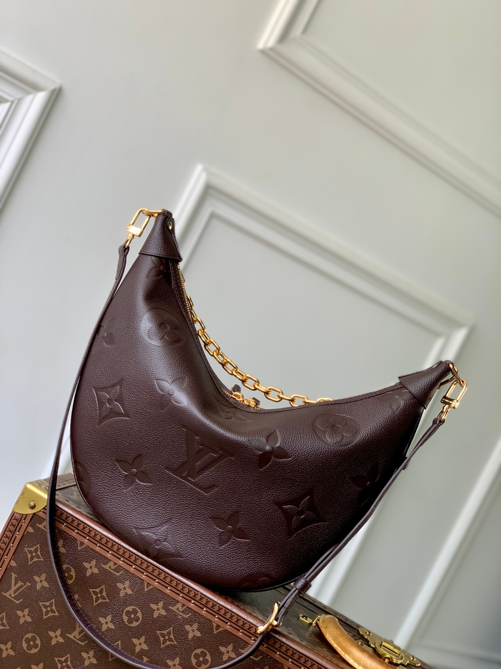 Louis Vuitton Loop Hobo Bag