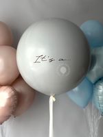 Воздушные шары на определение пола №8879