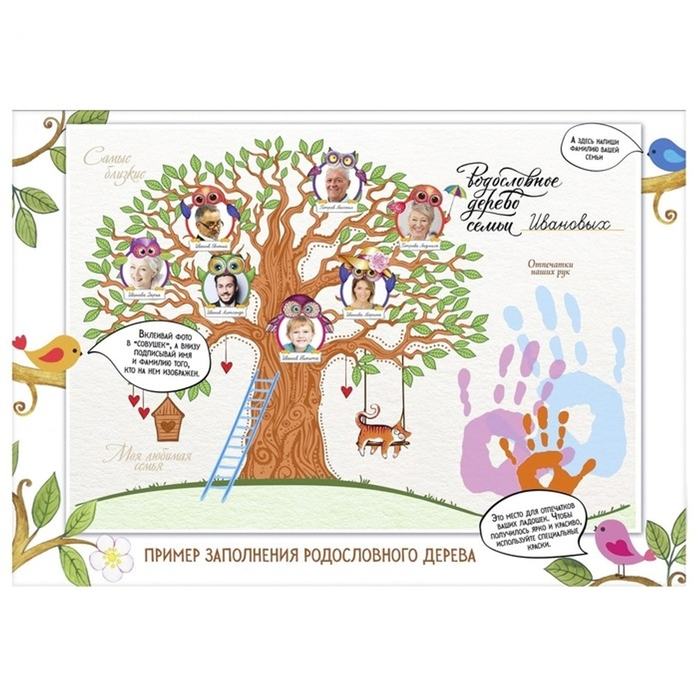 3600656 Детская родословная папка «Совы», 16 листов, 24,5 х 32 см