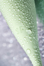 Вакуум-волновой бесконтактный стимулятор клитора Satisfyer Twirling Pro зеленый