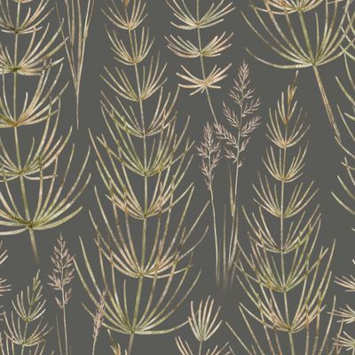 Травы на сером