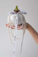 подарок коллеге - луковицы амариллиса в воске