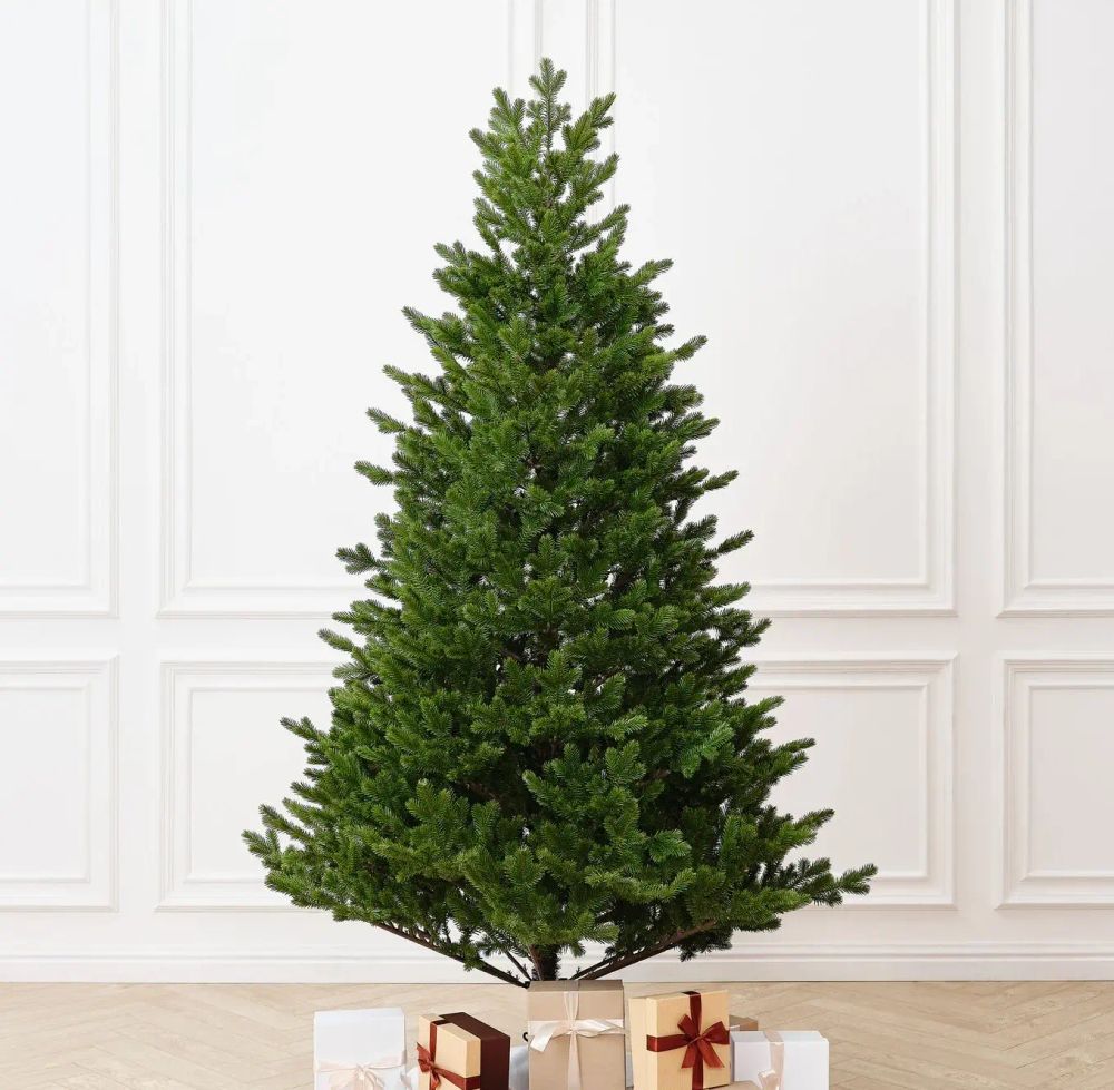 Ель искусственная «Meribel» (Литая хвоя) 3 м
