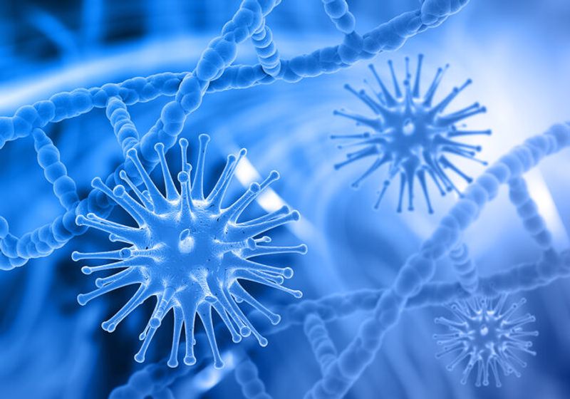 Роль иммунной системы в защите организма.