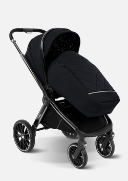 Pituso Коляска 2 в 1 Mayla Luxury Black