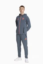 Ветровка adidas FC Bayern 25/26 Competition Vis Tech Travel - серый