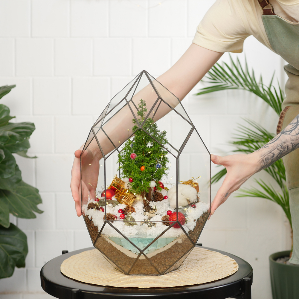 Готовый новогодний флорариум с елью Цефей