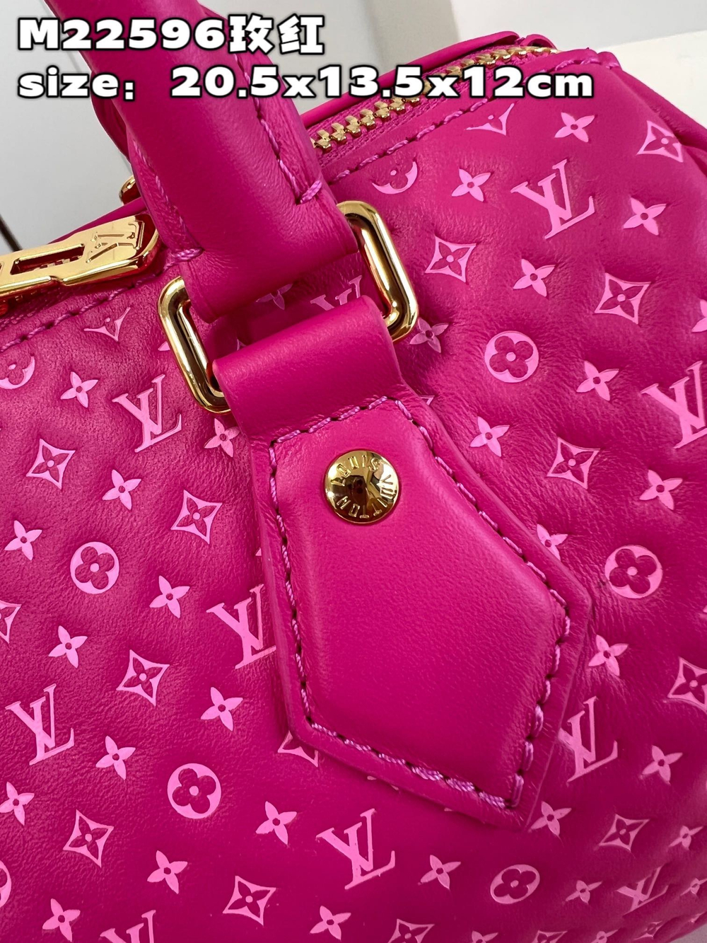 Louis Vuitton Speedy 20