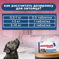 Таблетки против гельминтов Мильбемакс глистогон для кошек до 2кг и котят