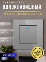 Выключатель одноклавишный серый с рамкой из закаленного стекла ПРОХОДНОЙ