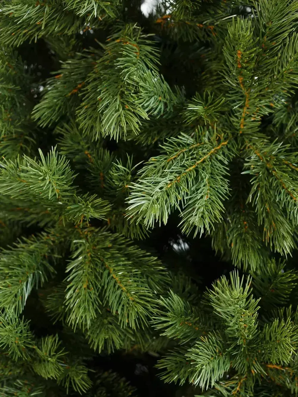 Ель искусственная «Шервуд» (Литая хвоя) от 1,5 м до 2,4 м