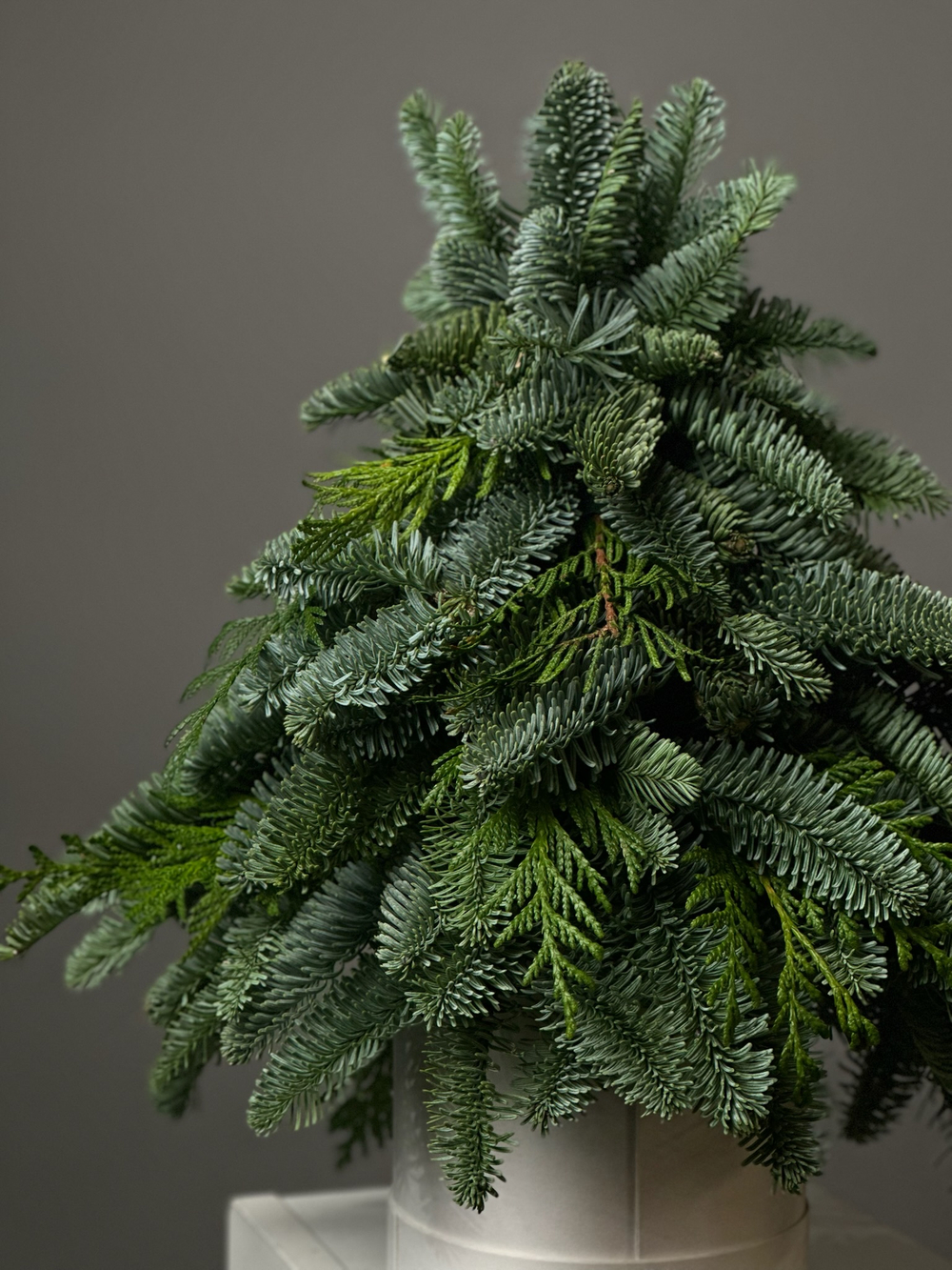 Хвоя в коробке «Ёлка в миниатюре»