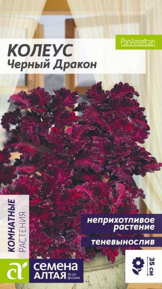 Колеус &quot;G. Черный Дракон&quot; 5шт., Россия.