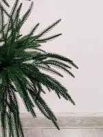 "Араукария" искусственное дерево (литая хвоя) 90 см