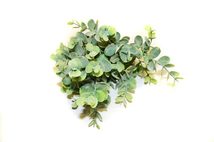 Брусничник пластик с патиной