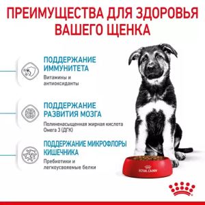 Корм для щенков крупных пород, Royal Canin Maxi Puppy