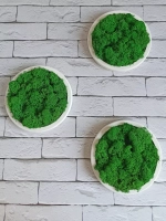 Круглое панно на стену из мха набор 3 шт.