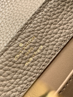 Louis Vuitton Capucines Mini