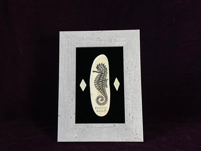 "Морской конек"