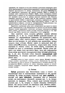 Болезни кожи. Руководство для врачей и студентов | Иозеф Макс