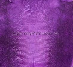 Кожа ящерицы SK-25