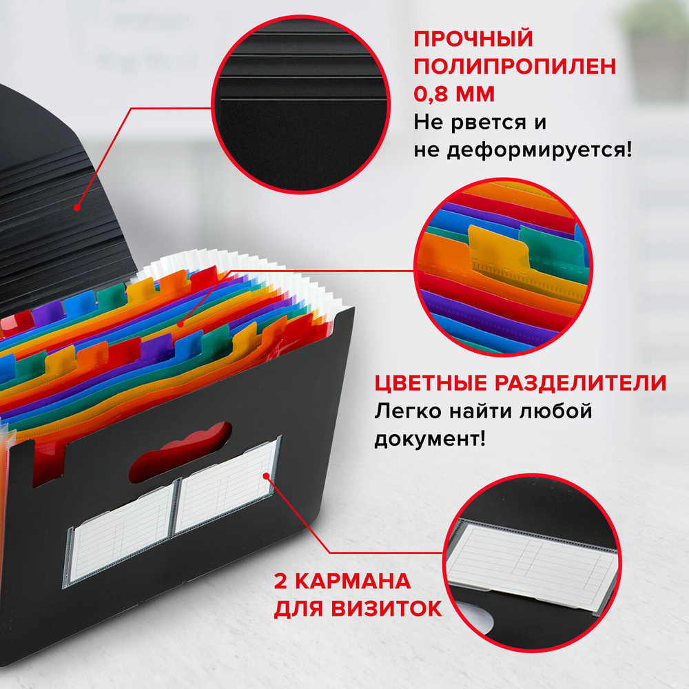 Папка-органайзер для бумаг и документов на резинке 25 отделений BRAUBERG DOCS А4 черная (2 штуки в упаковке)