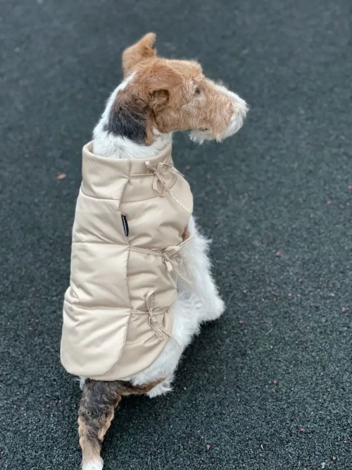 Жилет для собак мелких средних крупных пород такс