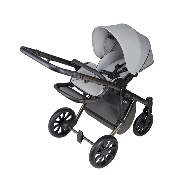 Коляска ANEX m/type 3 в 1 (mt-09Q) mirage