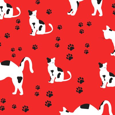 Котики на красном