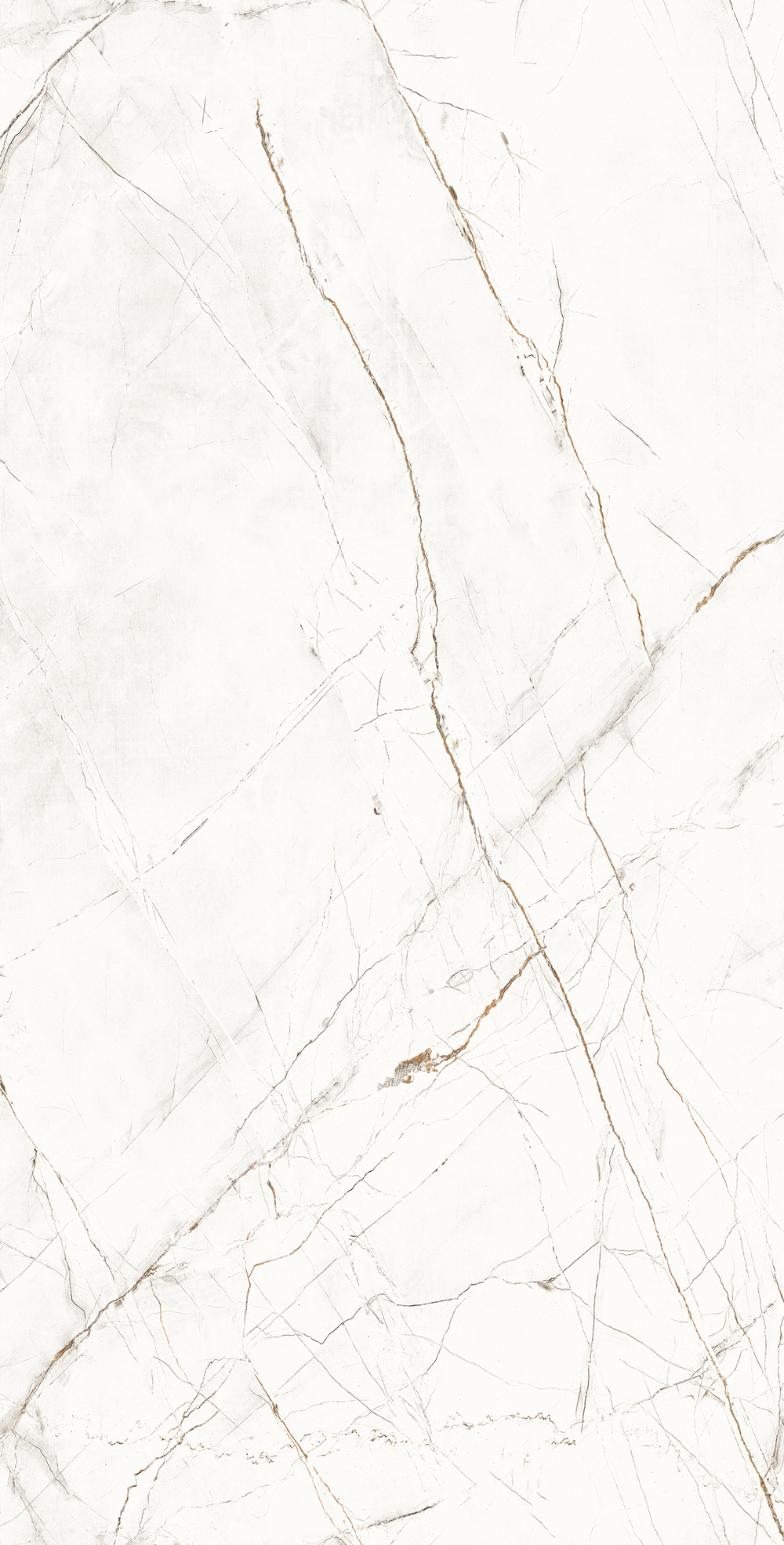 Керамогранит, Arcadia Ceramica, VALENCIA SILVER GREY, 1200x600 мм, карвинг