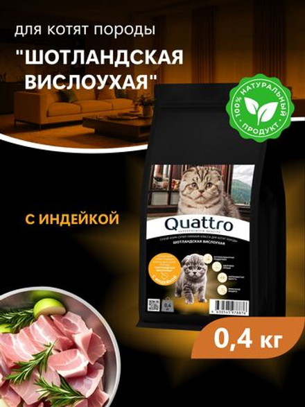 Корм сухой для котят породы Шотландская вислоухая, с индейкой, 400 гр, QUATTRO