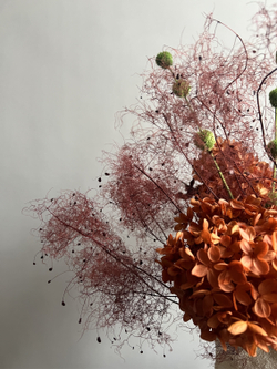 Букет Цинерия