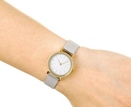 Женские часы Skagen SKW2445