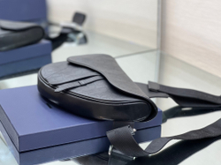 Christian Dior Saddle 26 cm